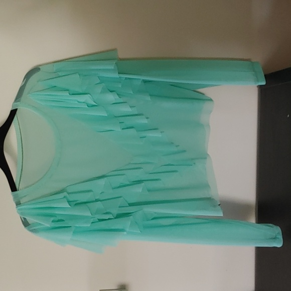 Designer Ruffled Crop - Picture 4 of 9